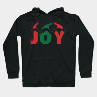 JOY Hoodie